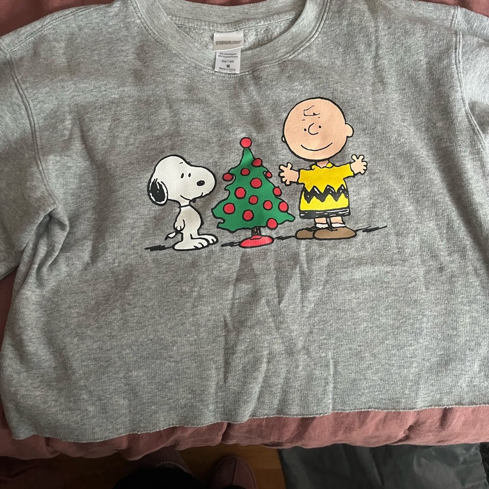Peanuts Gray Sweatshirt with Snoopy and Charlie Brown